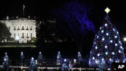 白宫前的国家圣诞树(资料照片)