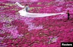 Sepasang pengantin berpose di sebuah taman di Luoyang, Provinsi Henan, China, 10 April 2016. (Foto: Reuters)