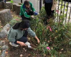 Volunteers work at the LaSalle-Backus Elementary School garden in Washington, D.C.