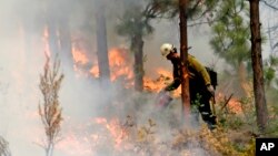 A firefighter uses a drip torch to burn the edges of an area up to a fire break in Chelan, Washington, Aug. 27, 2015.