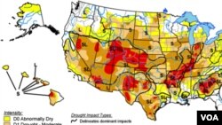 Phần lớn diện tích đất bị khô cằn nằm ở phía nam nước Mỹ, nhưng các giới chức bộ nông nghiệp nói một số đất của miền bắc cũng bắt đầu khô