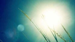 ارتباط نور آفتاب و گرمای تابستان با اختلال خلقی فصلی افراد