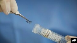 A technician of the Fiocruz institue stores Aedes aegypti mosquitoes to be used in research, in Recife, Pernambuco state, Brazil, Wednesday, Jan. 27, 2016.