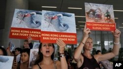 Animal conservation activists hold pictures of elephants being killed for their ivory tusks, outside the Legislative Council in Hong Kong, June 6, 2017. African park rangers are urging Hong Kong lawmakers to approve a ban on ivory sales but warn that giving in to traders' demands for compensation would fuel more elephant poaching.