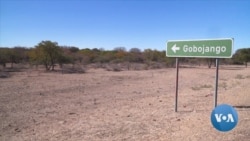 Botswana’s Growing Elephant Population Clashes with Humans