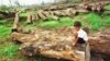 Indigenous Groups File Complaint to World Bank Over Forest Destruction