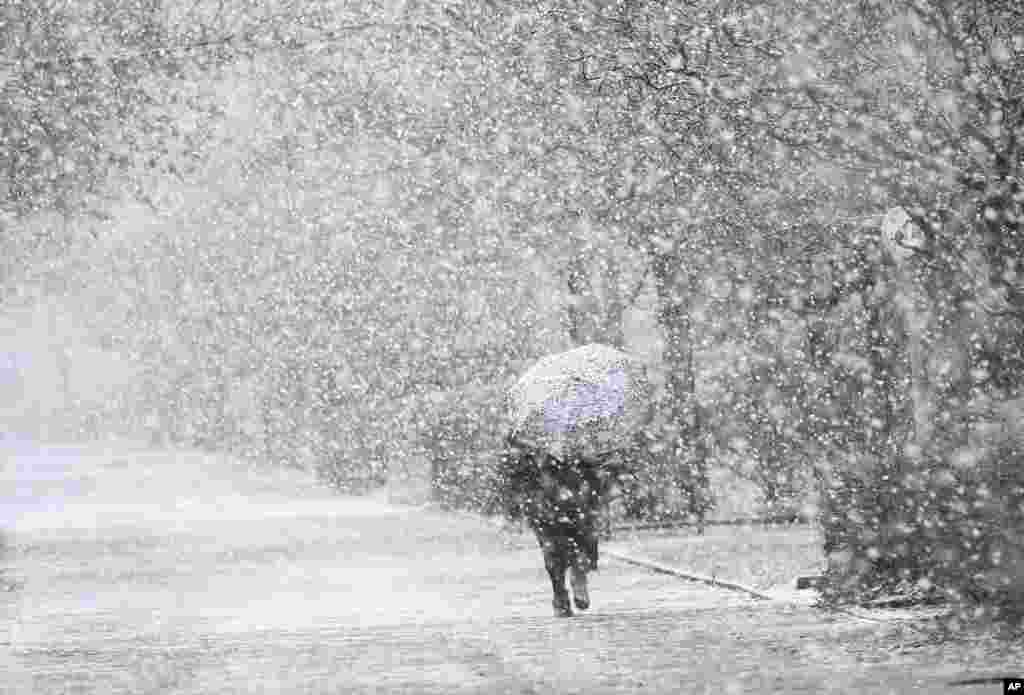 A woman protects herself with an umbrella during heavy snowfall in Langenhagen near Hannover, Germany.