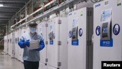 A worker passes a line of freezers holding coronavirus disease (COVID-19) vaccine candidate BNT162b2 at a Pfizer facility in Puurs, Belgium in an undated photograph. (Pfizer/Handout via REUTERS)