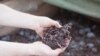 What Is Composting? And How to Start