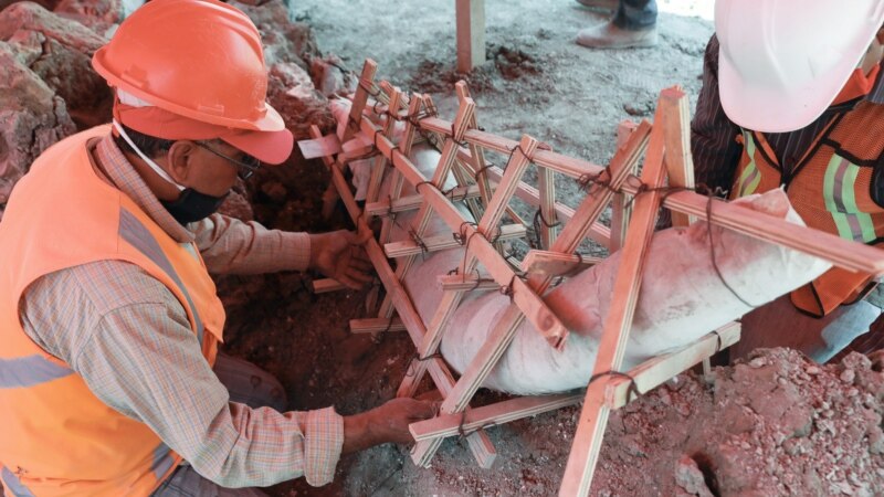 Scientists Find Mammoth Bones Near Mexico City
