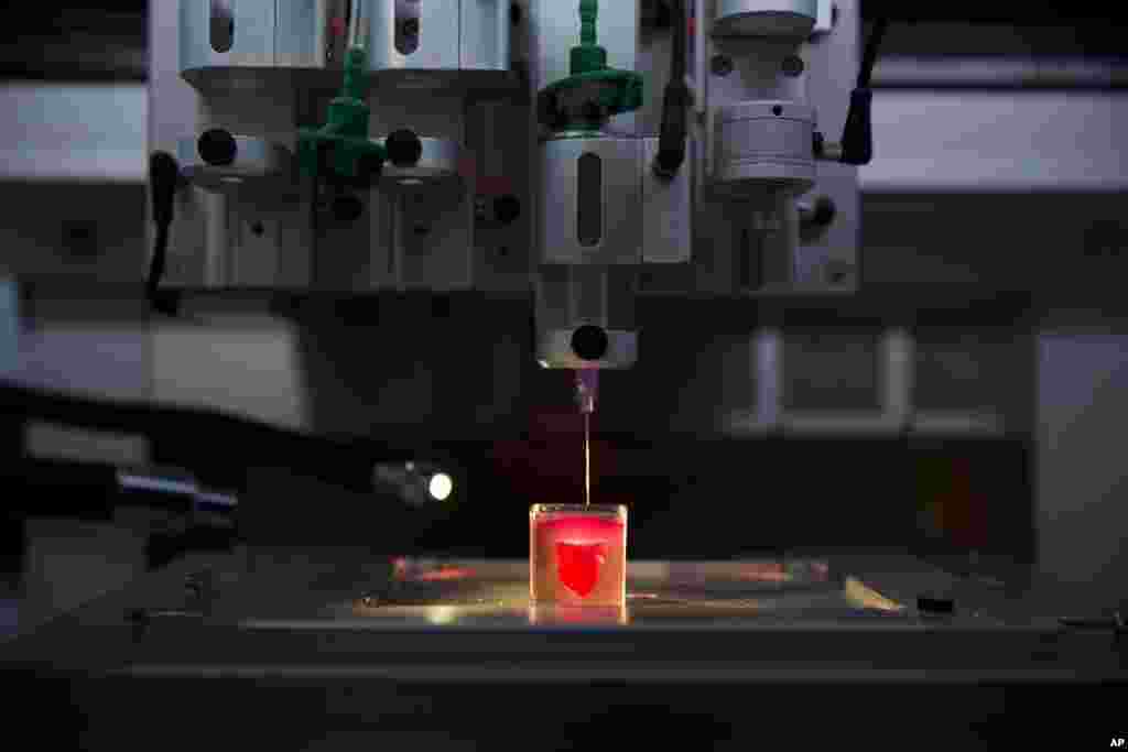 A 3D printer prints a heart with human tissue during a presentation at the University of Tel Aviv, in Tel Aviv, Israel.