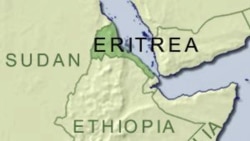 گزارش سازمان ملل: دولت اريتره نقشه حمله به اجلاس اتحاديه آفريقا داشت