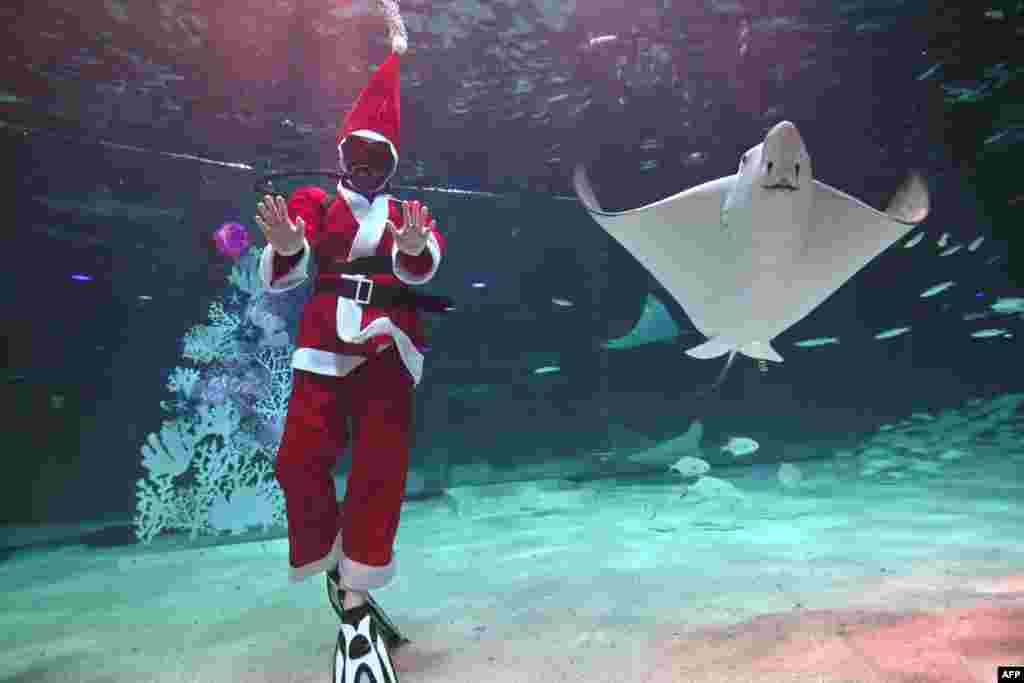 A diver clad in Santa Claus outfit performs during a Christmas-themed underwater show at an aquarium in Seoul, South Korea.