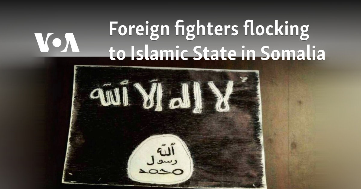 Foreign fighters flocking to Islamic State in Somalia 