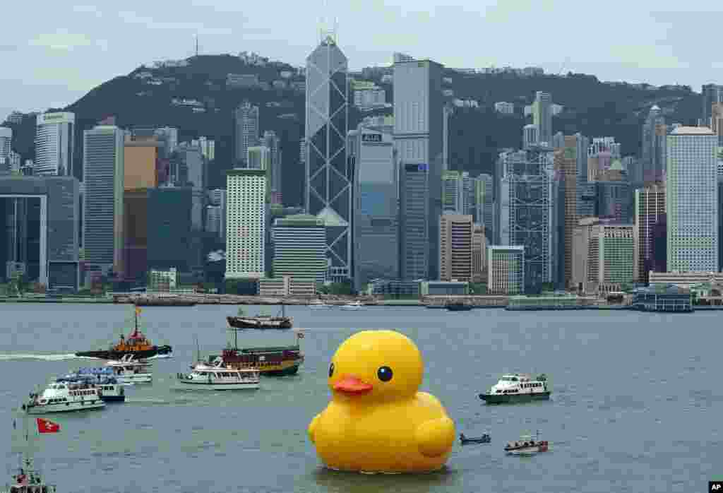 A giant Rubber Duck created by Dutch artist Florentijn Hofman is towed along Hong Kong&#39;s Victoria Habor. Since 2007 the 16.5-meter (54-foot)-tall Rubber Duck has traveled to various cites including Osaka, Sydney, Sao Paulo and Amsterdam.