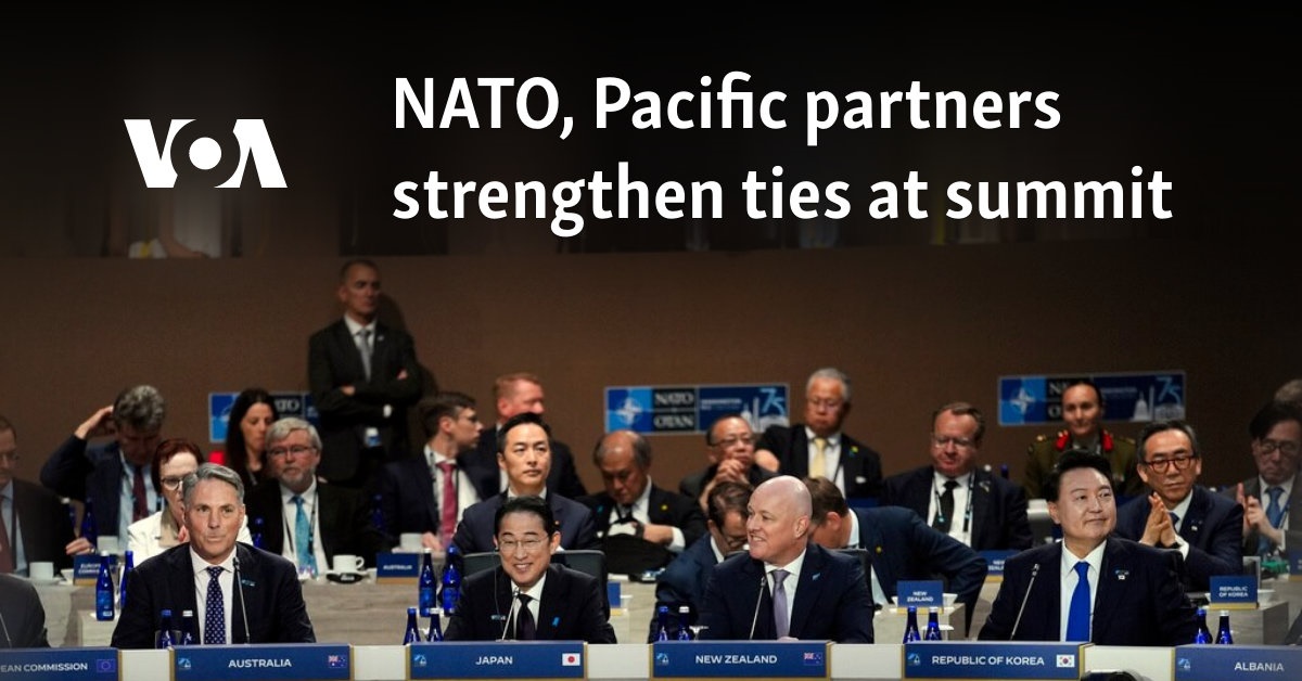 NATO, Pacific partners strengthen ties at summit