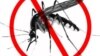 Cabo Verde poderá eliminar a malária nos próximos quatro anos, diz a OMS