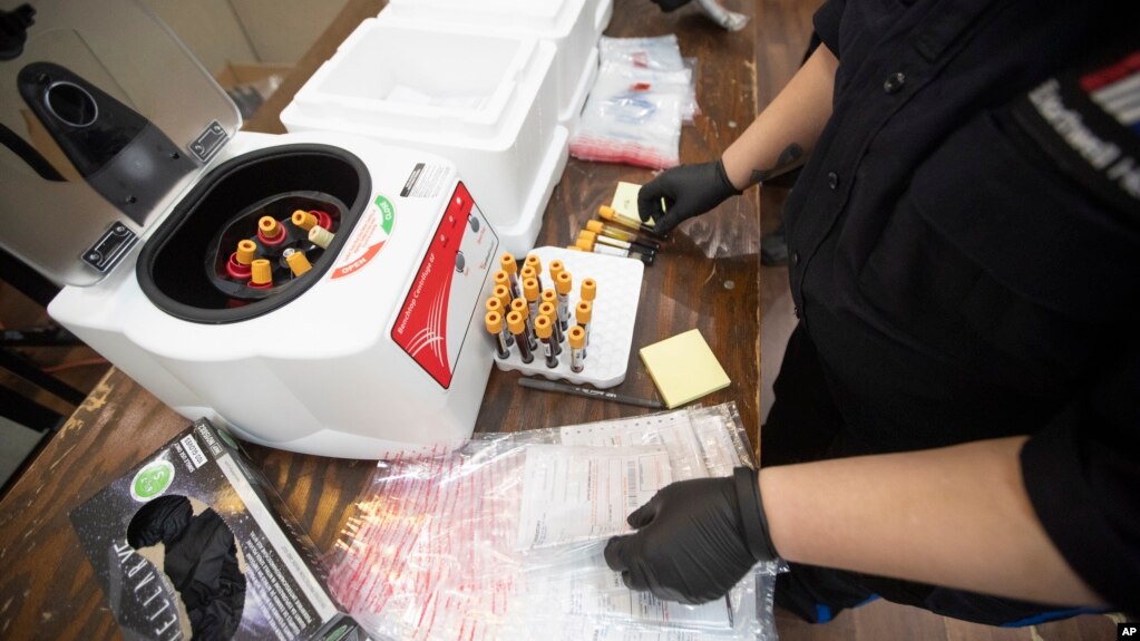 FILE - A health worker matches the number on a tube to the number of samples during a COVID-19 antibody test drive May 14, 2020, in New York. (AP Photo/Mary Altaffer)