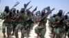 Local Official: Somali Commandos Kill 15 in Raid on al-Shabab Base