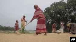 Women farmers in Bangladesh have learned they play an important role that ensures food security for their families.