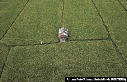 Pemerintah Perlu Segera Intensifikasi Sawah Tadah Hujan