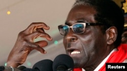 Zimbabwe's President Robert Mugabe gestures as he speaks during an event marking his 89th birthday in Bindura, about 90 km north of the capital Harare Mar. 2, 2013. 