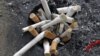 New Vaccine Could Fight Nicotine Addiction