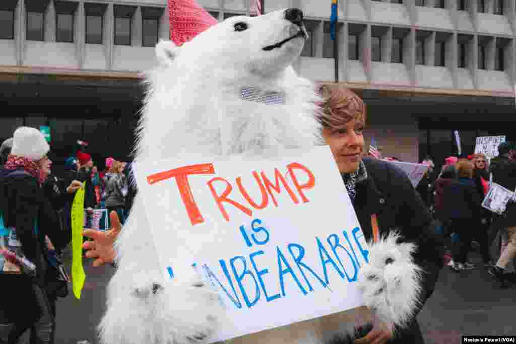 Un homme est déguisé en ours avec un panneau "Trump est insuppotable", Washington DC, le 21 janvier 2017. (VOA/Nastasia Peteuil)