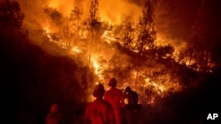 Firefighters monitor a backfire while battling the Ranch Fire, part of the Mendocino Complex Fire near Ladoga, California.