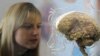 Work on Brain's Reward System Wins Scientists One-million-euro Prize