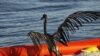 Obama, Gulf Coast Residents Mark Oil Spill Anniversary