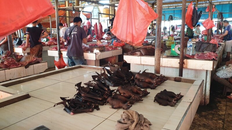 Cegah Perebakan Rabies, Pemkot Tomohon Perketat Penjualan Daging Anjing dan Kucing di Pasar Ekstrem