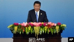 China's President Xi Jinping delivers an opening speech of the APEC CEO Summit as part of the Asia-Pacific Economic Cooperation (APEC) Summit at the China National Convention Center in Beijing, Nov. 9, 2014. 