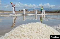 Para petani garam memasukkan garam ke dalam karung saat musim panen garam di Desa Belo, Kabupaten Bima, Nusa Tenggara Barat, 20 September 2016. (Foto: Antara via Reuters)