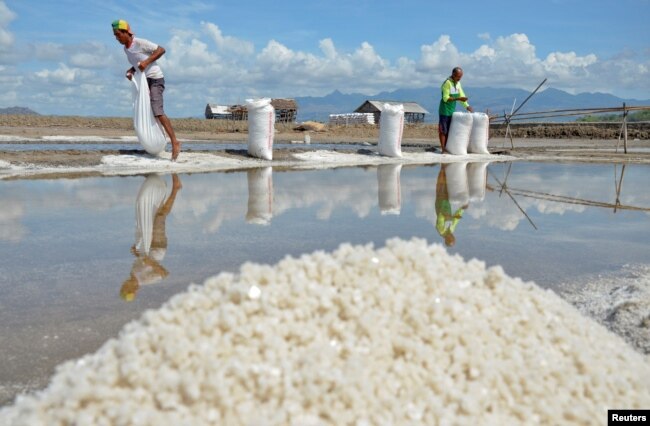 Para petani garam memasukkan garam ke dalam karung saat musim panen garam di Desa Belo, Kabupaten Bima, Nusa Tenggara Barat, 20 September 2016. (Foto: Antara via Reuters)