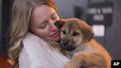 Humane Society International animal rescue responder Masha Kalinina holds a puppy, one of 23 rescued by the organization from a dog meat farm in Ilsan, South Korea, at Dulles International Airport in Washington, D.C.