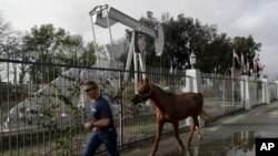 A trainer leads a horse past a portrait of Donald Trump hanging on an oil derrick in Huntington Beach, California, Jan. 10, 2017. When Hillary Clinton won this county of 3.2 million in November 2016, it marked the first time Orange had backed a Democrat for president since Franklin Roosevelt.