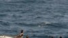 Hải tặc cướp tàu với thủy thủ đoàn 23 người ngoài khơi Benin