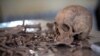 Somaliland Opens 30-year-old Mass Graves From Civil War