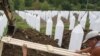 Srebrenitsa Kurbanları Törenlerle Anıldı