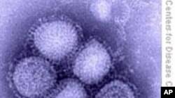 中国卫生部官员: 数千万人有感染H1N1风险
