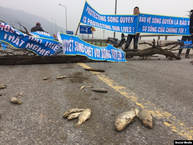 Biểu tình vì thảm họa môi trường gần nhà máy Formosa ở Hà Tĩnh.