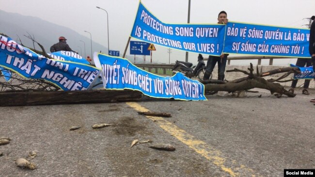 Người dân biểu tình bên cạnh cá chết gần nhà máy Formosa ở Hà Tĩnh. Nguyễn Văn Hóa được biết là đã đăng tải nhiều thông tin và hình ảnh về thảm họa môi trường mà Formosa gây ra trên biển miền Trung. (Facebook Le Nguyen Huong Tra)