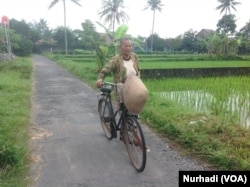 Seorang perempuan lanjut usia yang masih aktif bekerja di sawah. (Foto: VOA/ Nurhadi)