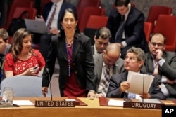 FILE - U.S. Deputy U.N. Ambassador Michele Sison is pictured at a Security Council session, Feb. 2, 2017.