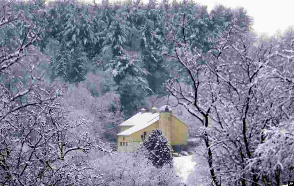 A yellow barn is surrounded by snow-covered trees after an overnight snowstorm in Zelienople, Pennsylvania.