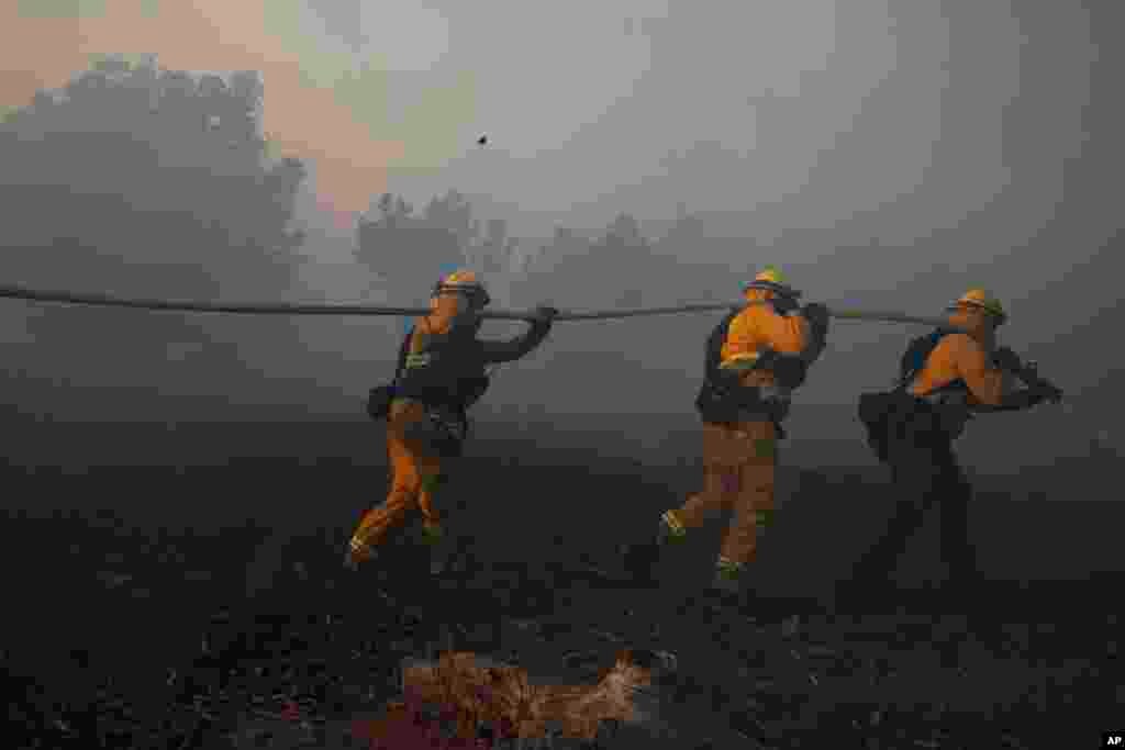 Firefighters put out a wildfire burning in an orchard, Dec. 5, 2017, in Santa Paula. The city is about 50 miles northwest of Los Angeles.