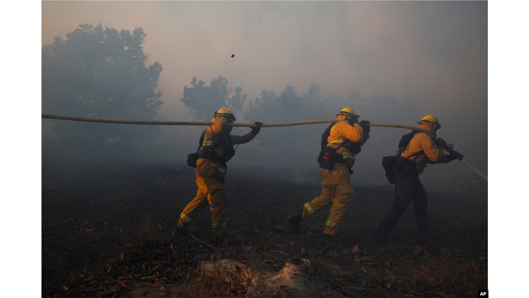FILE - Firefighters put out a wildfire burning in an orchard in Santa Paula, Calif., Dec. 5, 2017.