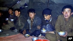 Handout photo shows North Korean laborers eating a lunch of boiled maize in Sukchon county, South Pyongan province (File 2003)