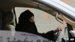 عکس از آرشیو